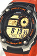 Часы Casio Collection AE-2100W-4A AE-2100W-4A 2